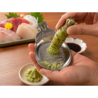 日本製 KAN 可愛造型磨泥器｜SUS430不鏽鋼｜茄子・魚・烏賊三款