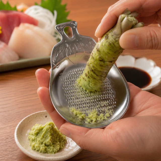 日本製 KAN 可愛造型磨泥器｜SUS430不鏽鋼｜茄子・魚・烏賊三款